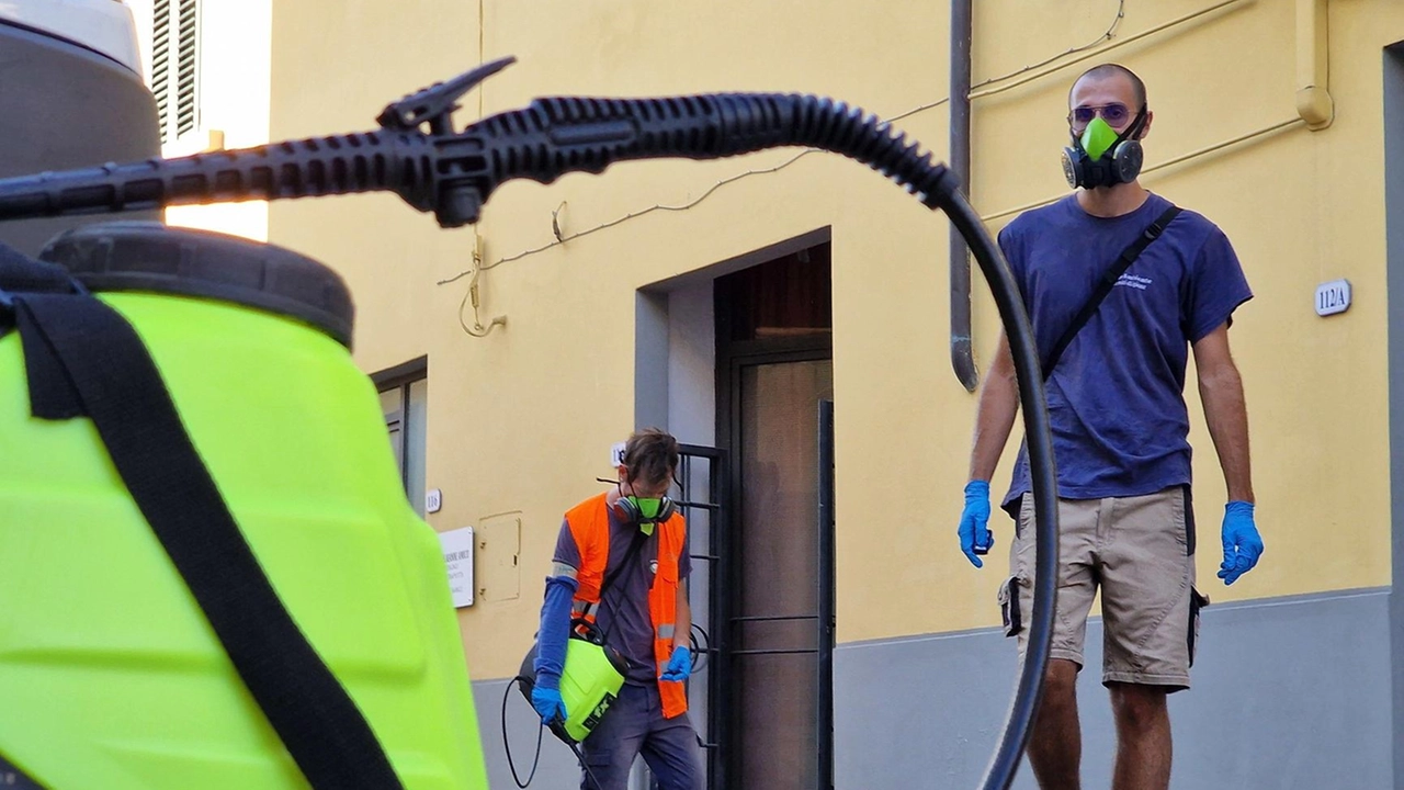 La malattia, accertata dall’Asl, contratta forse durante il viaggio all’estero di un cittadino. Il Comune ha ordinato per oggi le operazioni di profilassi previste per prevenire la diffusione. La malattia, accertata dall’Asl, contratta forse durante il viaggio all’estero di un cittadino. Il Comune ha ordinato per oggi le operazioni di profilassi previste per prevenire la diffusione.