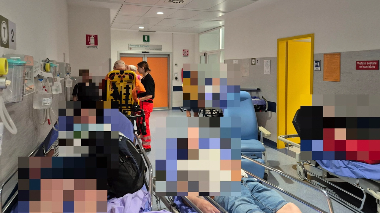 Caos pronto soccorso cisanello (foto di: ENRICO MATTIA DEL PUNTA) Caos pronto soccorso cisanello (foto di: ENRICO MATTIA DEL PUNTA)