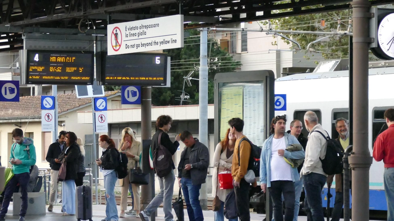 Levata di scudi dalla politica, prima dalla capogruppo Berti poi dal consigliere regionale Marco Casucci. "Corsa utile per spostarsi in pausa pranzo". Levata di scudi dalla politica, prima dalla capogruppo Berti poi dal consigliere regionale Marco Casucci. "Corsa utile per spostarsi in pausa pranzo".