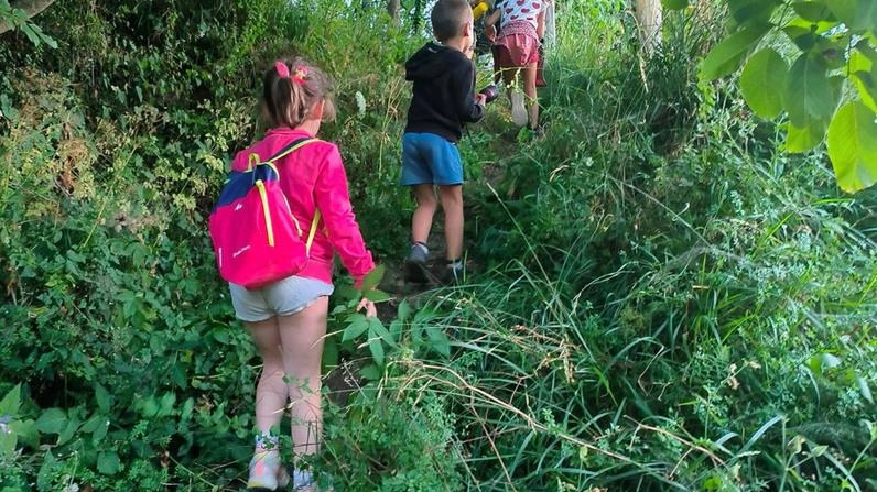 Un gruppo di bambini durante una camminata nei boschi (foto Borghesi) Un gruppo di bambini durante una camminata nei boschi (foto Borghesi)