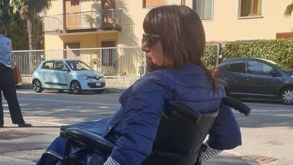 Il Comune di Siena offre il Contrassegno unificato disabili europeo (Cude) online. La procedura telematica include la richiesta del codice univoco per l'accesso alla piattaforma nazionale dei Cude. La Polizia Locale gestisce le richieste e fornisce il codice alfanumerico per l'accesso. La piattaforma permette di verificare le targhe attive e i diritti associati al Cude, senza costi aggiuntivi. Il Comune di Siena offre il Contrassegno unificato disabili europeo (Cude) online. La procedura telematica include la richiesta del codice univoco per l'accesso alla piattaforma nazionale dei Cude. La Polizia Locale gestisce le richieste e fornisce il codice alfanumerico per l'accesso. La piattaforma permette di verificare le targhe attive e i diritti associati al Cude, senza costi aggiuntivi.