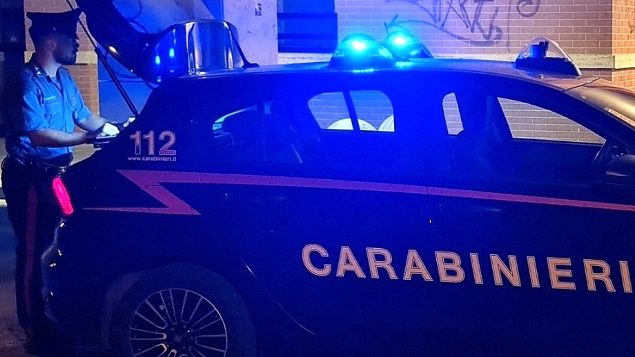 Carabinieri (foto di repertorio) Carabinieri (foto di repertorio)