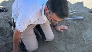 L’importanza di riconoscere le tracce