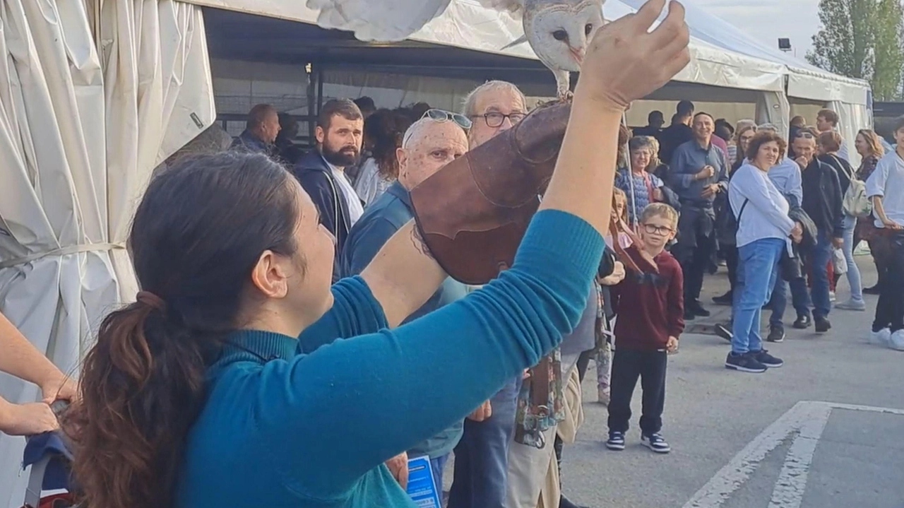 Nell’edizione numero 553 dell’Antica fiera di San Luca sono protagonisti anche gli animali. Resterà aperta fino al 3 novembre Nell’edizione numero 553 dell’Antica fiera di San Luca sono protagonisti anche gli animali. Resterà aperta fino al 3 novembre