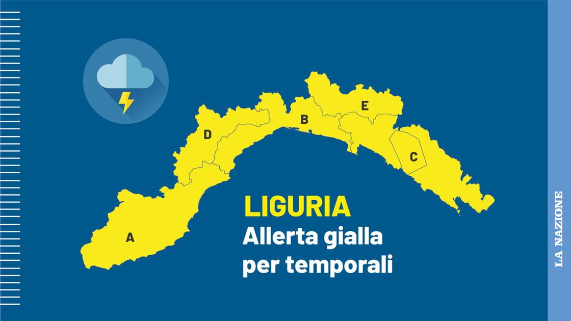 https://www.lanazione.it/image-service/view/acePublic/alias/contentid/NThkYWJiNGYtN2QwMC00/0/wfe.jpeg?f=16:9&w=1200&h=630