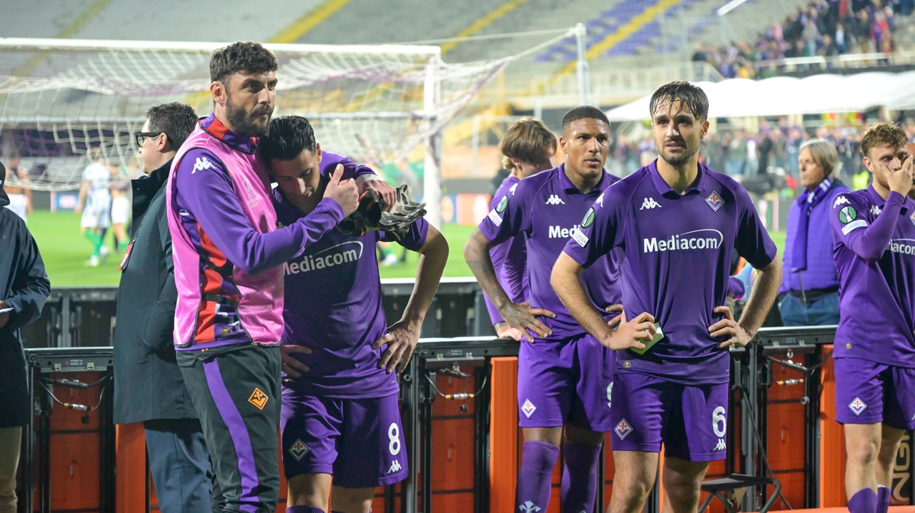 La delusione viola dopo l'eliminazione in Conference League. Ma i tifosi hanno incitato la squadra (Germogli) La delusione viola dopo l'eliminazione in Conference League. Ma i tifosi hanno incitato la squadra (Germogli)