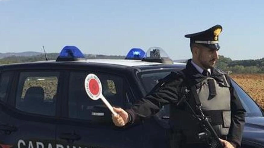 I carabinieri del comando di Monteriggioni stanno svolgendo le indagini per scoprire i responsabili dei furti I carabinieri del comando di Monteriggioni stanno svolgendo le indagini per scoprire i responsabili dei furti