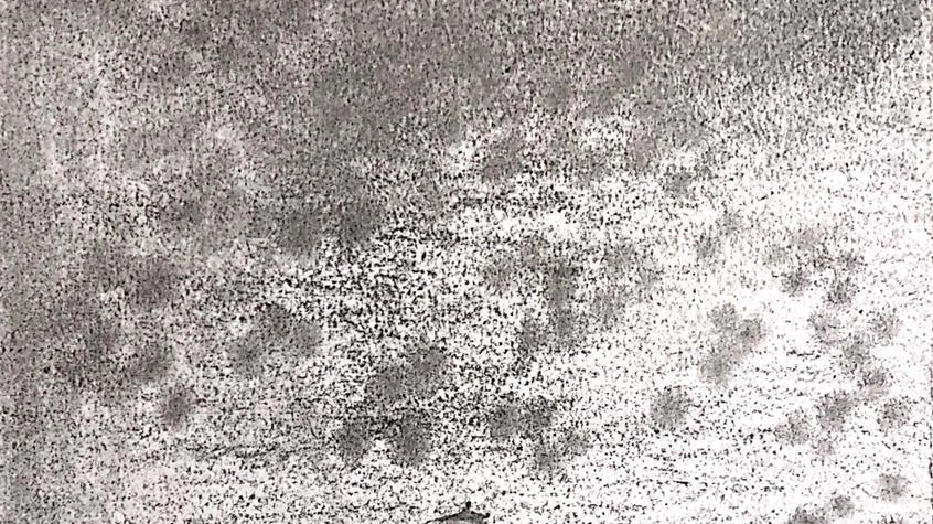 Uno dei disegni dedicati alla sicurezza alla guida Uno dei disegni dedicati alla sicurezza alla guida