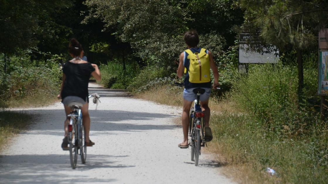 Pineta di Levante da tutelare: “Il degrado avanza sempre più. Va combattuto con decisione” Pineta di Levante da tutelare: “Il degrado avanza sempre più. Va combattuto con decisione”
