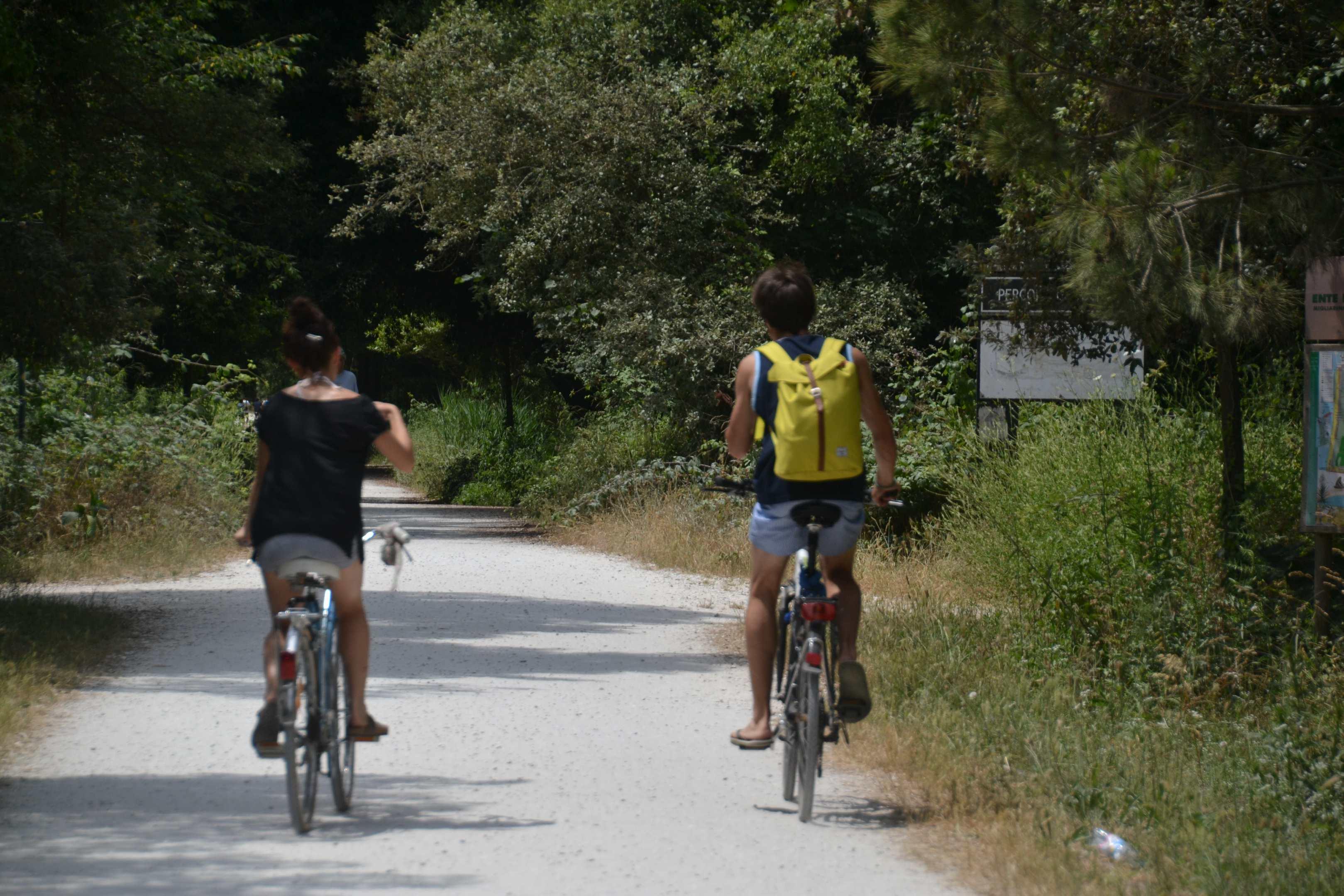 Pineta di Levante da tutelare: “Il degrado avanza sempre più. Va combattuto con decisione”