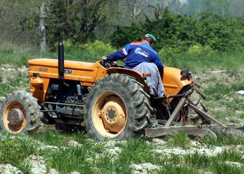 https://www.lanazione.it/image-service/view/acePublic/alias/contentid/NTk5YTcwZWYtNmJkYy00/0/premio-citta-di-montalcino-omaggio-alla-civilta-contadina-laboratorio-su-cultura-e-agricoltura.jpeg?f=1.91:1&w=1200