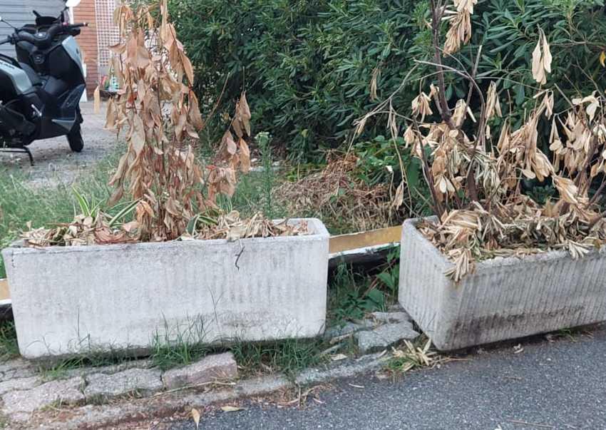 Canaletto quartiere nel caos: "Il Comune deve intervenire" Canaletto quartiere nel caos: "Il Comune deve intervenire"