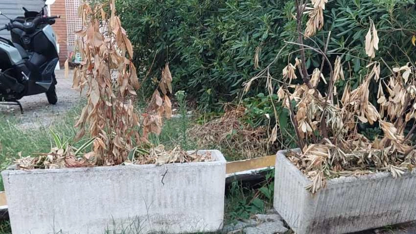 I residenti e titolari di attività commerciali hanno evidenziato i disagi del quartiere