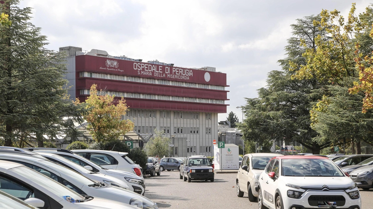 L’uomo, di Pierantonio, è stato ferito dallo scoppio di un grosso petardo: la corsa in codice rosso al Santa Maria di Perugia. Bruciature alla mano per un ragazzo soccorso all’ospedale di Branca. L’uomo, di Pierantonio, è stato ferito dallo scoppio di un grosso petardo: la corsa in codice rosso al Santa Maria di Perugia. Bruciature alla mano per un ragazzo soccorso all’ospedale di Branca.