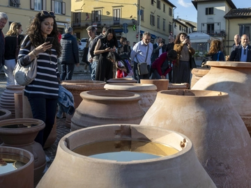 immagine articolo
