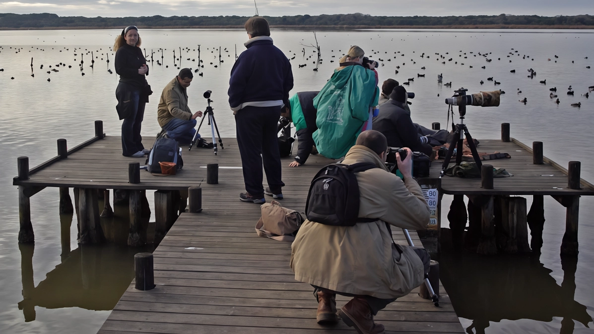 Un appuntamento per esperti e appassionati della fauna migratoria Un appuntamento per esperti e appassionati della fauna migratoria