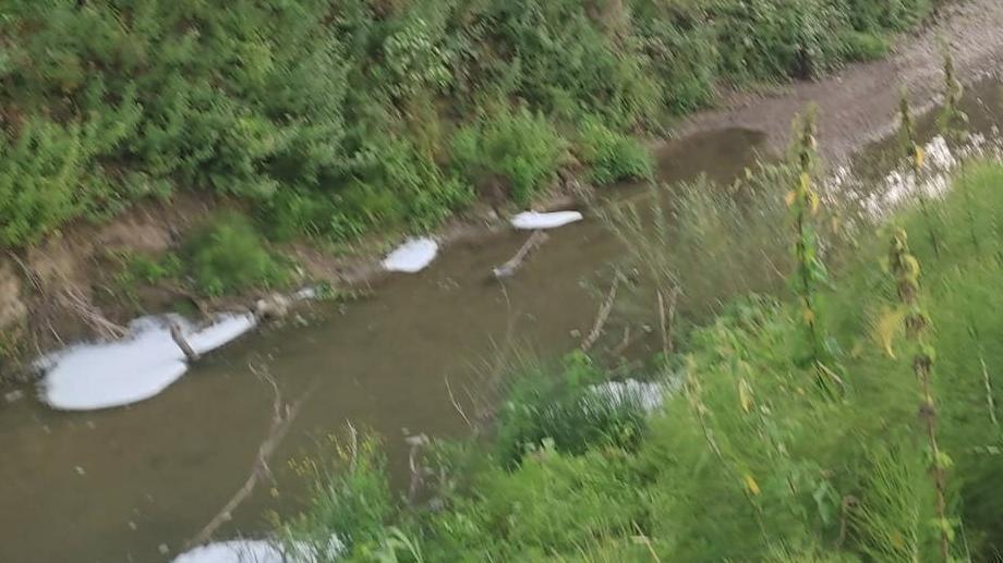 "Schiuma nel torrente. Staggia" "Schiuma nel torrente. Staggia"