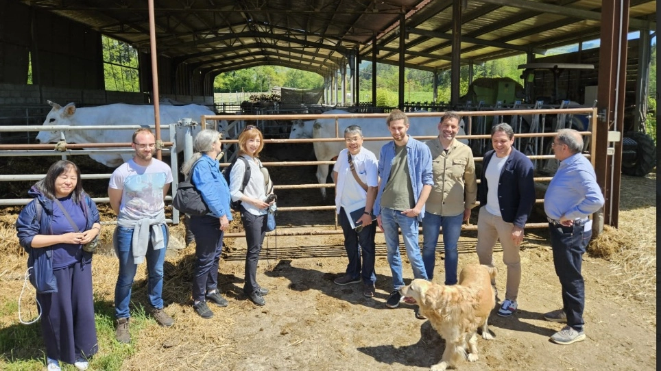 Il progetto dell’Università di Iwate in Giappone ha coinvolto Walter Giorgi di Bibbiena coinvolto dal Prof. Andrea Marescotti di UNIFI Il progetto dell’Università di Iwate in Giappone ha coinvolto Walter Giorgi di Bibbiena coinvolto dal Prof. Andrea Marescotti di UNIFI