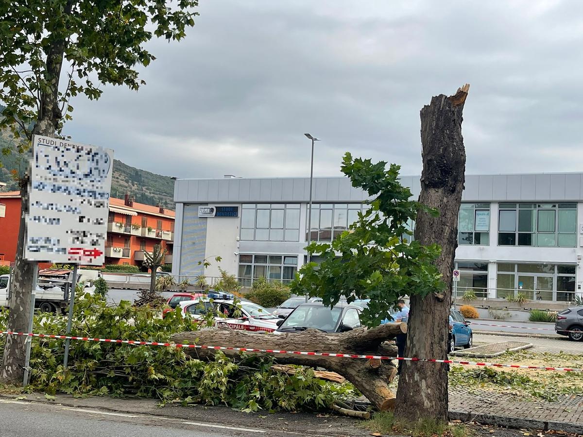 Maltempo, dopo la bufera si contano i danni. Alberi caduti e allagamenti