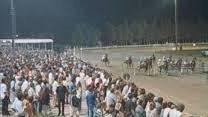 È stata dichiarata la liquidazione giudiziale (ex fallimento) per ’Sistema Cavallo’, la società che gestisce in concessione l’ippodromo dei Pini... È stata dichiarata la liquidazione giudiziale (ex fallimento) per ’Sistema Cavallo’, la società che gestisce in concessione l’ippodromo dei Pini...
