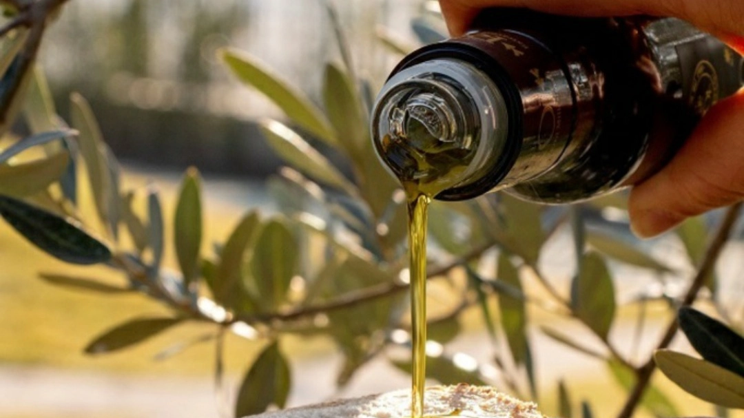 Olio (foto Ansa) Olio (foto Ansa)
