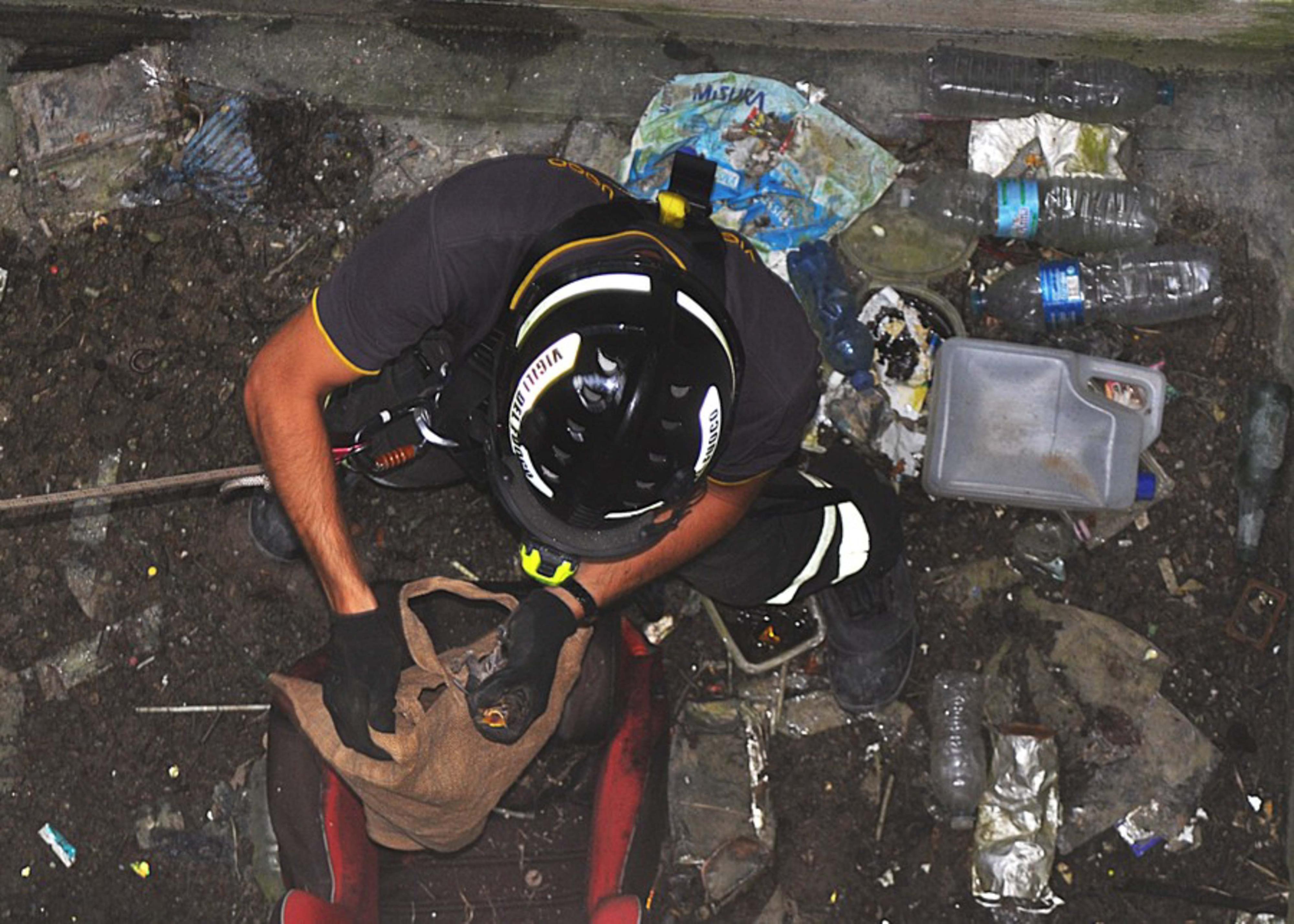 San Casciano Val di Pesa, i vigili del fuoco salvano un merlo nello scannafosso di un parcheggio San Casciano Val di Pesa, i vigili del fuoco salvano un merlo nello scannafosso di un parcheggio