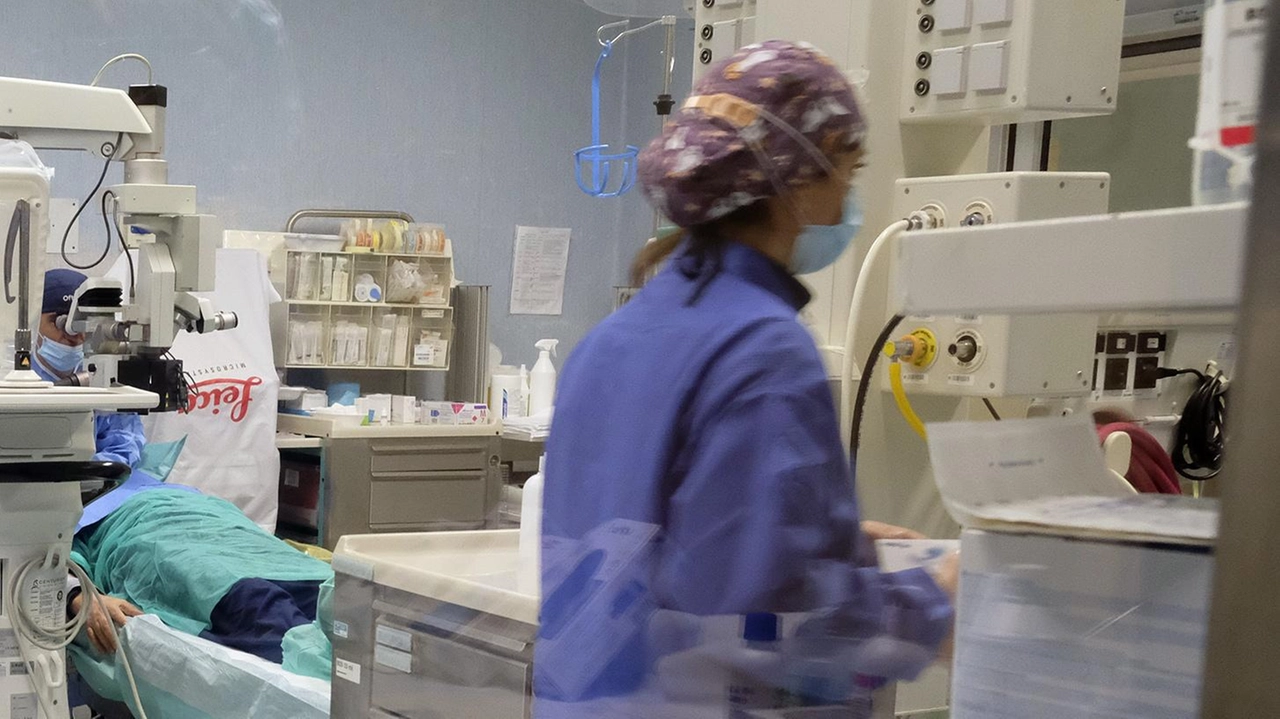 "La sanità funziona". La testimonianza dell’operato dell’ospedale San Bartolomeo di Sarzana arriva da Tonia Sisti che ha espresso parole... "La sanità funziona". La testimonianza dell’operato dell’ospedale San Bartolomeo di Sarzana arriva da Tonia Sisti che ha espresso parole...