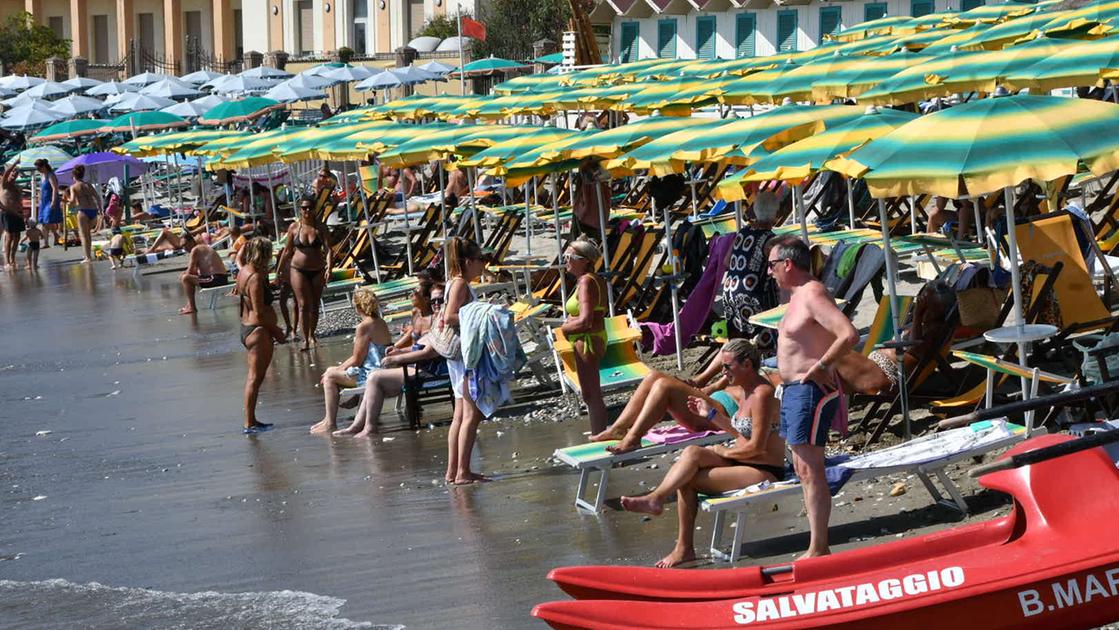 La manta c’è ancora ed è innocua. Ma l’erosione preoccupa tutti