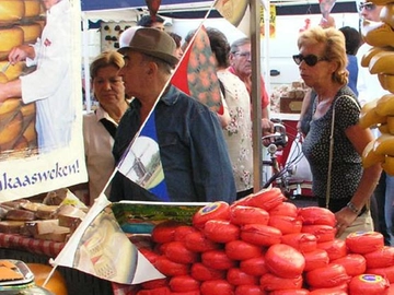 immagine articolo