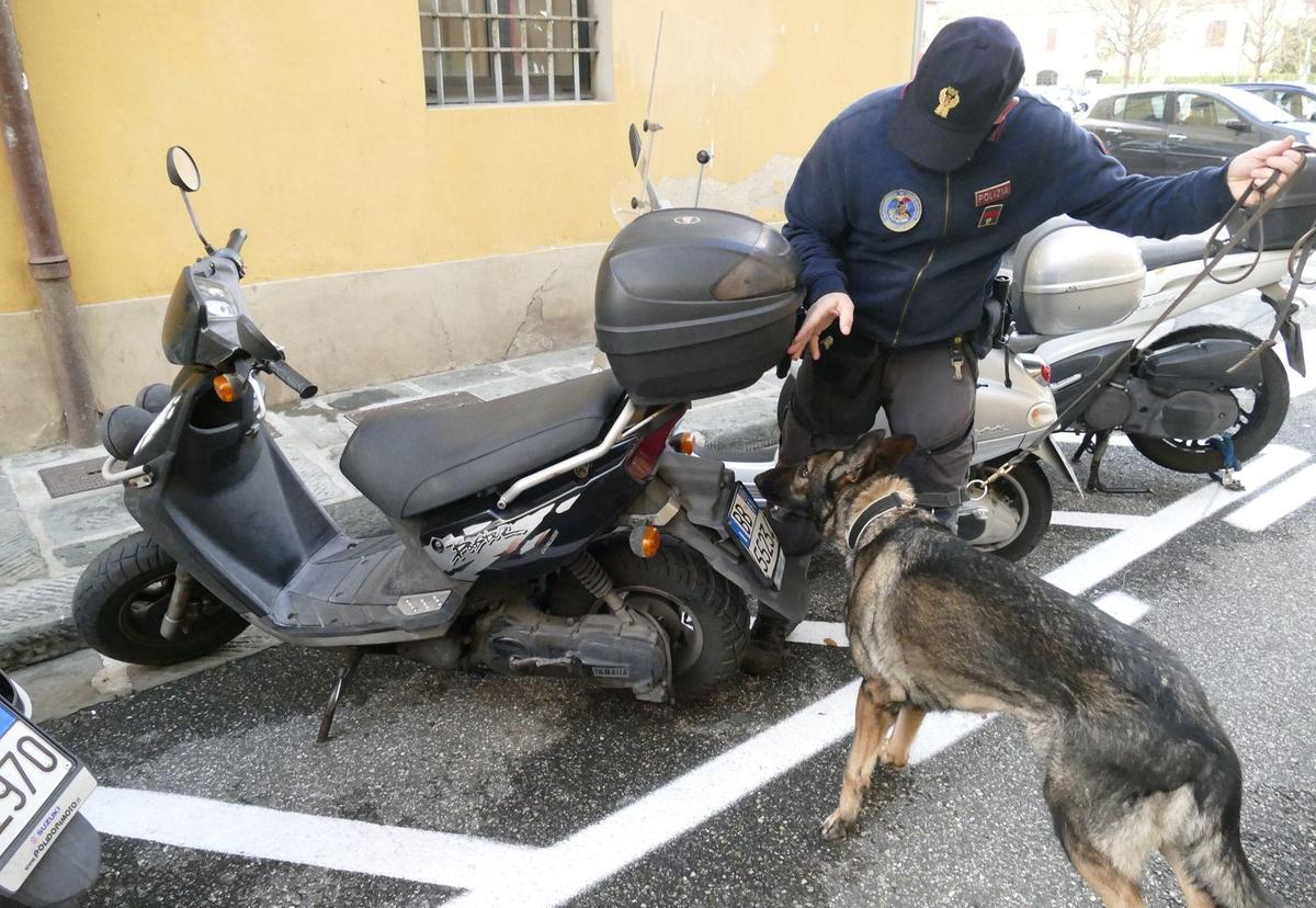 La visita di Piantedosi. Il sindacato di polizia: "Prato realtà complessa. Organici da adeguare" La visita di Piantedosi. Il sindacato di polizia: "Prato realtà complessa. Organici da adeguare"