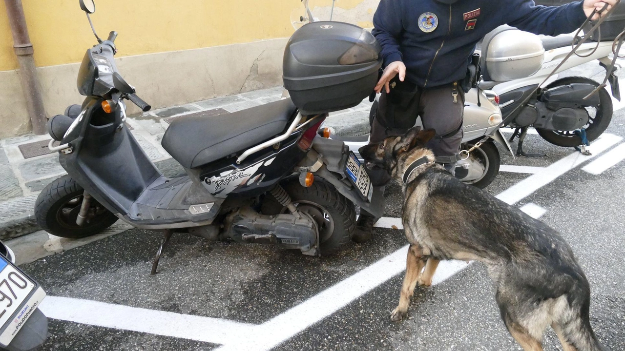 Polizia impegnata in controlli antidroga a Prato (foto d’archivio Attalmi)