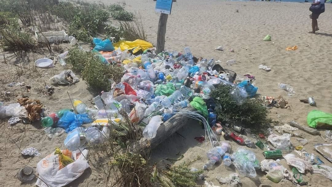 Italia Nostra denuncia lo stato di degrado e incuria della spiaggia della Lecciona Italia Nostra denuncia lo stato di degrado e incuria della spiaggia della Lecciona