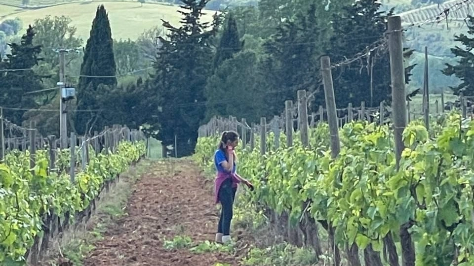 Il territorio dove il progetto prevede l’installazione delle pale eoliche Il territorio dove il progetto prevede l’installazione delle pale eoliche