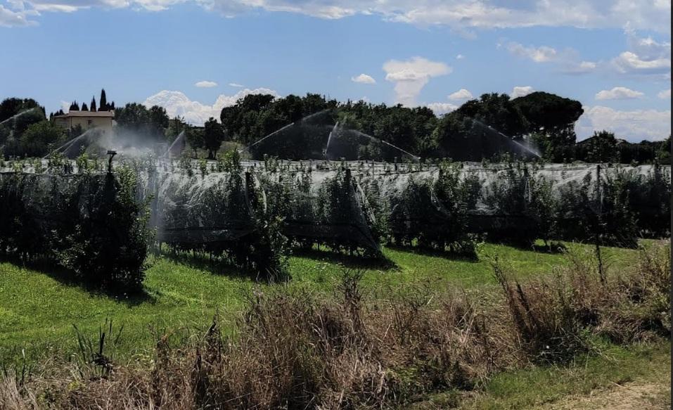 in valdichiana pi249 superfici irrigate e maggiori volumi per salvare il made in e proteggere falde fiumi e ambiente