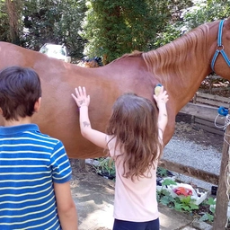 Due giorni per scoprire il mondo del cavallo e della Giostra del Saracino