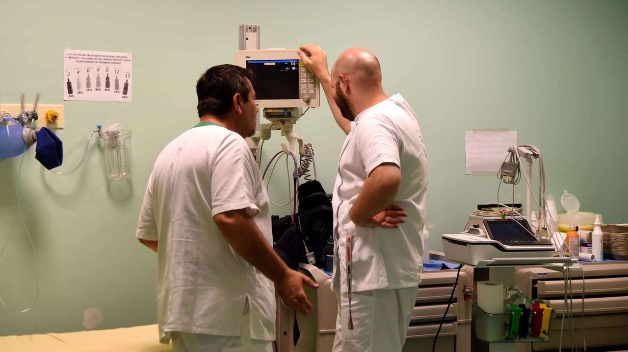 Afa da record, il pronto soccorso è sotto pressione: aumentano gli accessi (foto di repertorio) Afa da record, il pronto soccorso è sotto pressione: aumentano gli accessi (foto di repertorio)
