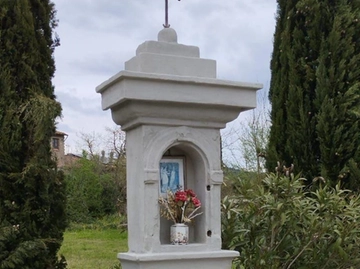 immagine articolo