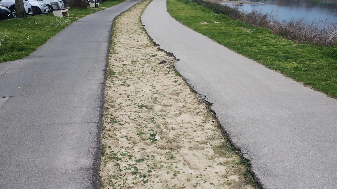 Il tratto iniziale di viale Galilei lungo il quale da settimane sono state tolte le rose che abbellivano la ciclabile Il tratto iniziale di viale Galilei lungo il quale da settimane sono state tolte le rose che abbellivano la ciclabile