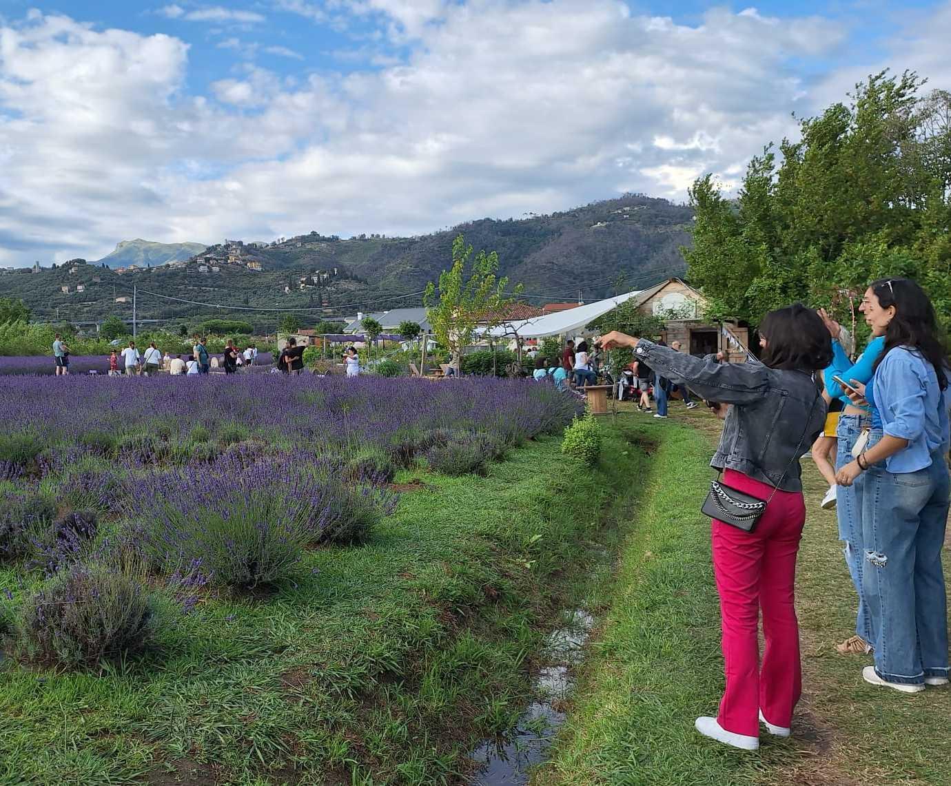la bellezza fa turismo sbocciano le fioriture tre weekend nella natura