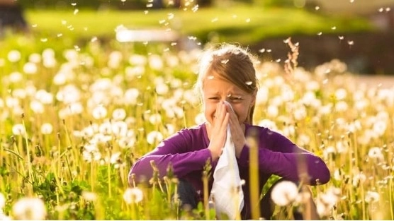 Il 10-12 per cento dei fiorentini soffre di allergie
