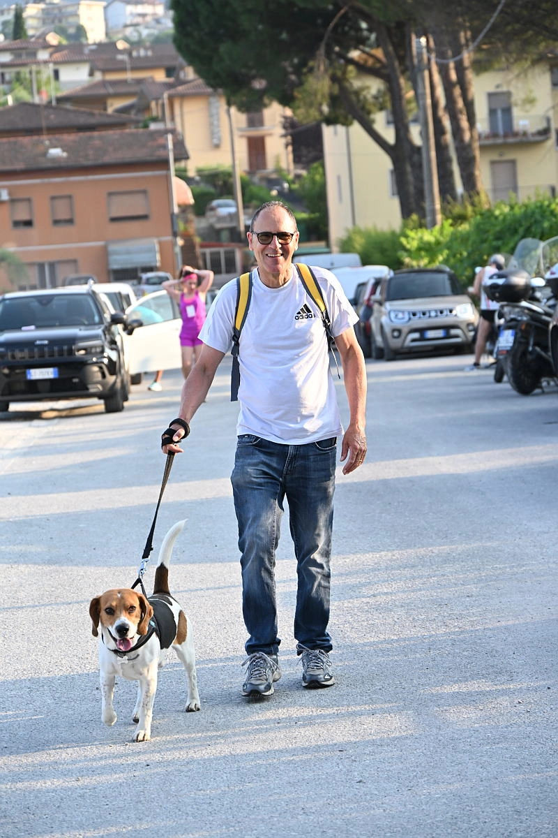 immagine di sfondo 31