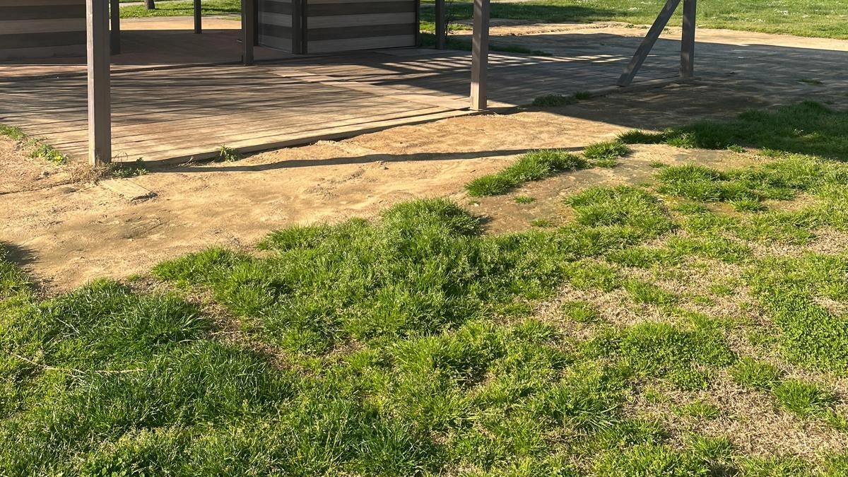 "Uniti per Calci” sollecita notizie e tempestività nell’affidamento del chiosco del Parco delle Fonderie. "Durante il consiglio comunale del 27... "Uniti per Calci” sollecita notizie e tempestività nell’affidamento del chiosco del Parco delle Fonderie. "Durante il consiglio comunale del 27...