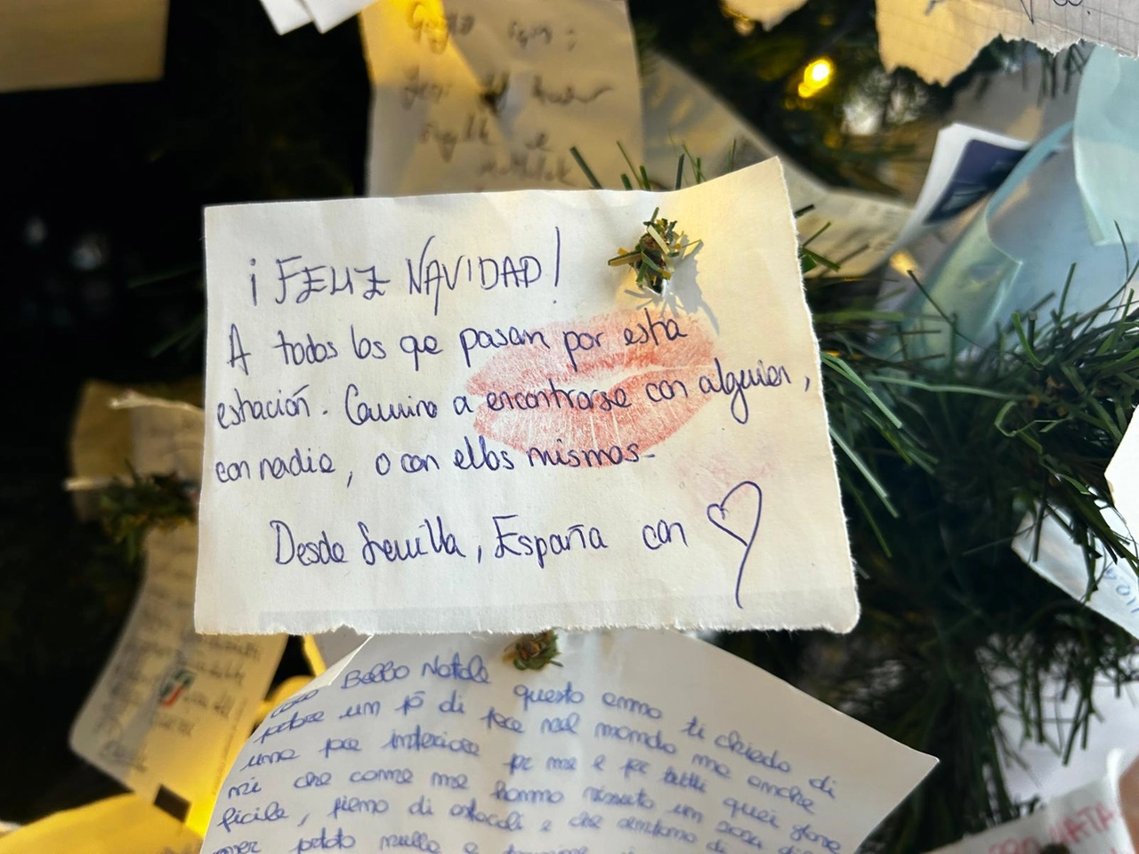 immagine di sfondo 5