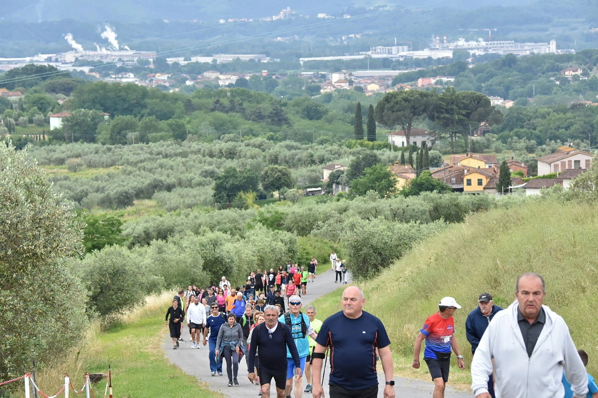 immagine di sfondo 13