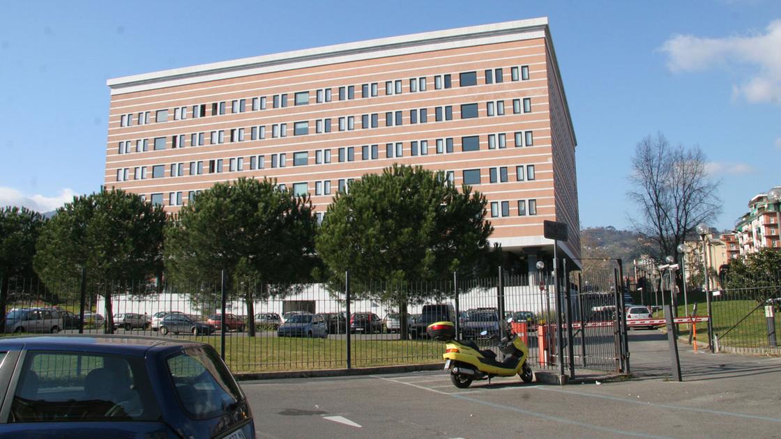 Cade dal terrazzo e muore, il marito fa causa al cognato e vince: maxi risarcimento Cade dal terrazzo e muore, il marito fa causa al cognato e vince: maxi risarcimento