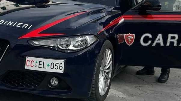 I carabinieri di Sarzana hanno trovato nascosti nella vettura 15 grammi di cocaina I carabinieri di Sarzana hanno trovato nascosti nella vettura 15 grammi di cocaina