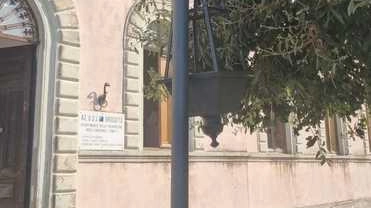 Nuovi atti vandalici nel centro storico di Manciano. Ieri mattina nel giardino sottostante piazza Garibaldi, è stata trovata quasi...