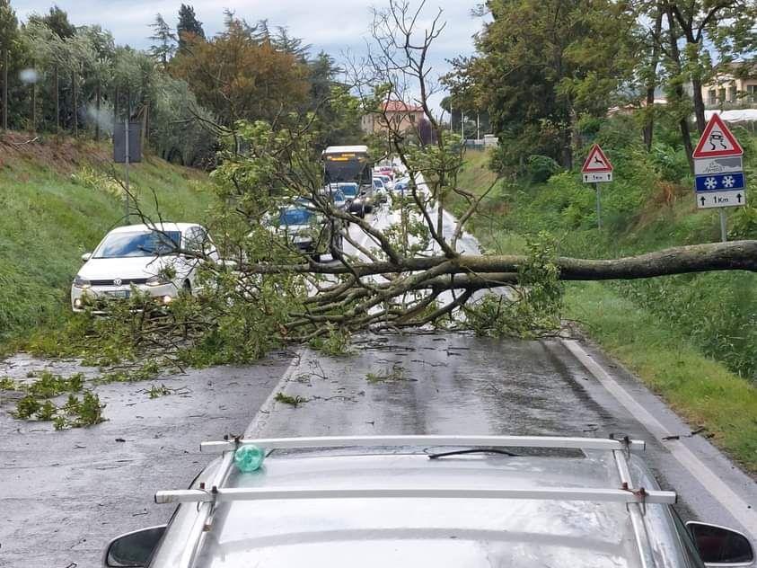 Rischio idrogeologico e temporali forti, codice giallo per martedì 20 maggio Rischio idrogeologico e temporali forti, codice giallo per martedì 20 maggio