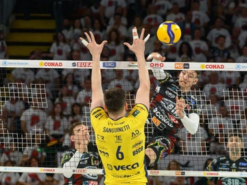immagine articolo