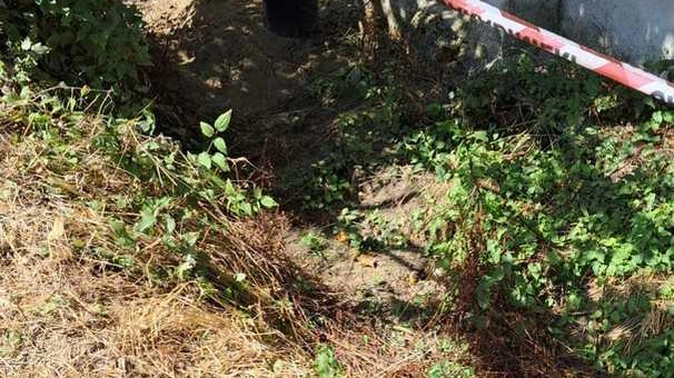 Il luogo del ritrovamento dove i cani molecolari hanno fiutato la presenza del cadavere nascosto in una buca